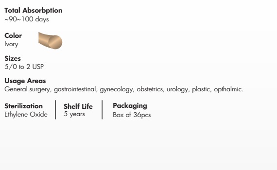 Premisut-Catgut-Plain-pdf-05-09-2025_07_42_PM